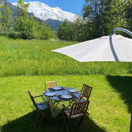 Appartement Lumineux Et Cosy En Rez De Jardin Saint-Gervais-les-Bains Exteriér fotografie