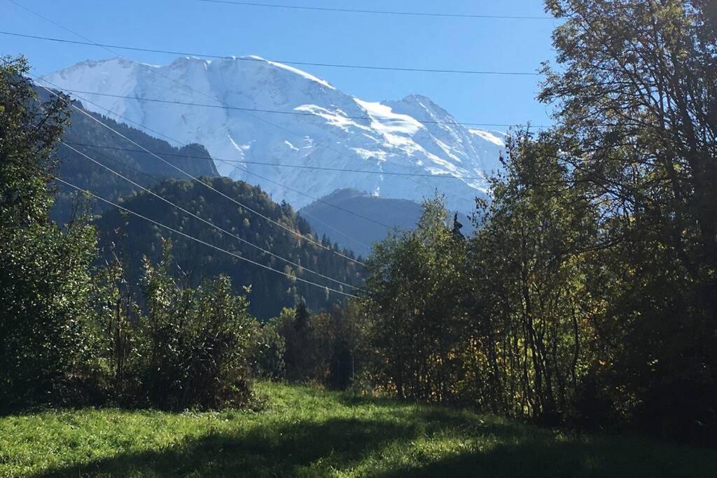 Appartement Lumineux Et Cosy En Rez De Jardin Saint-Gervais-les-Bains Exteriér fotografie