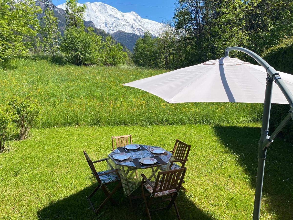 Appartement Lumineux Et Cosy En Rez De Jardin Saint-Gervais-les-Bains Exteriér fotografie