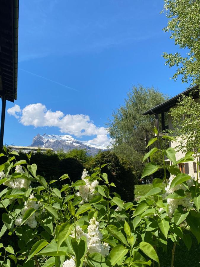 Appartement Lumineux Et Cosy En Rez De Jardin Saint-Gervais-les-Bains Exteriér fotografie